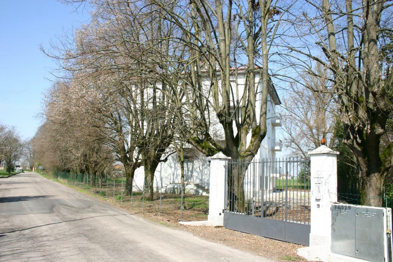 Villa Dei Tigli San Vicenzo di Galliera Exterior photo